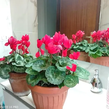 Casa D Arte Mary 3 Da Letto 2 Bagni Salotto Řím